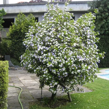 Prázdninový dům Casa Do Edro *
